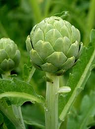 LA CASARECCIA ARTICHOKE 3KG Artichokes in Oil